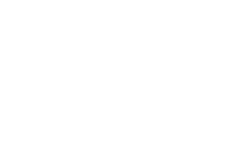net services net services