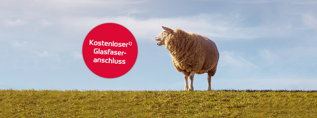 Nordfriesen Glasfaser: Ab sofort Anschlusskosten sparen Nordfriesen Glasfaser: Ab sofort Anschlusskosten sparen